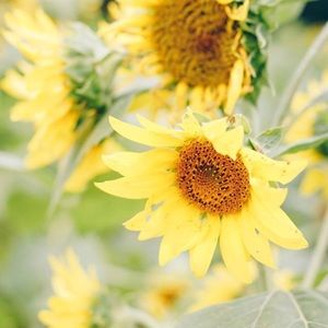 Meet your Posher, Charice